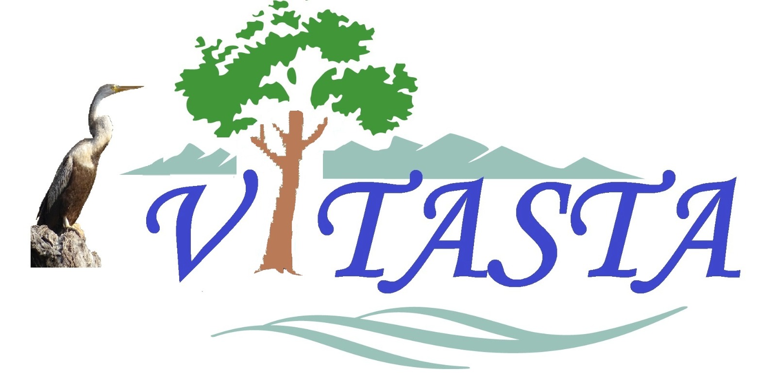 Vitasta Enviro Services Environmental Consultancy Main Logo